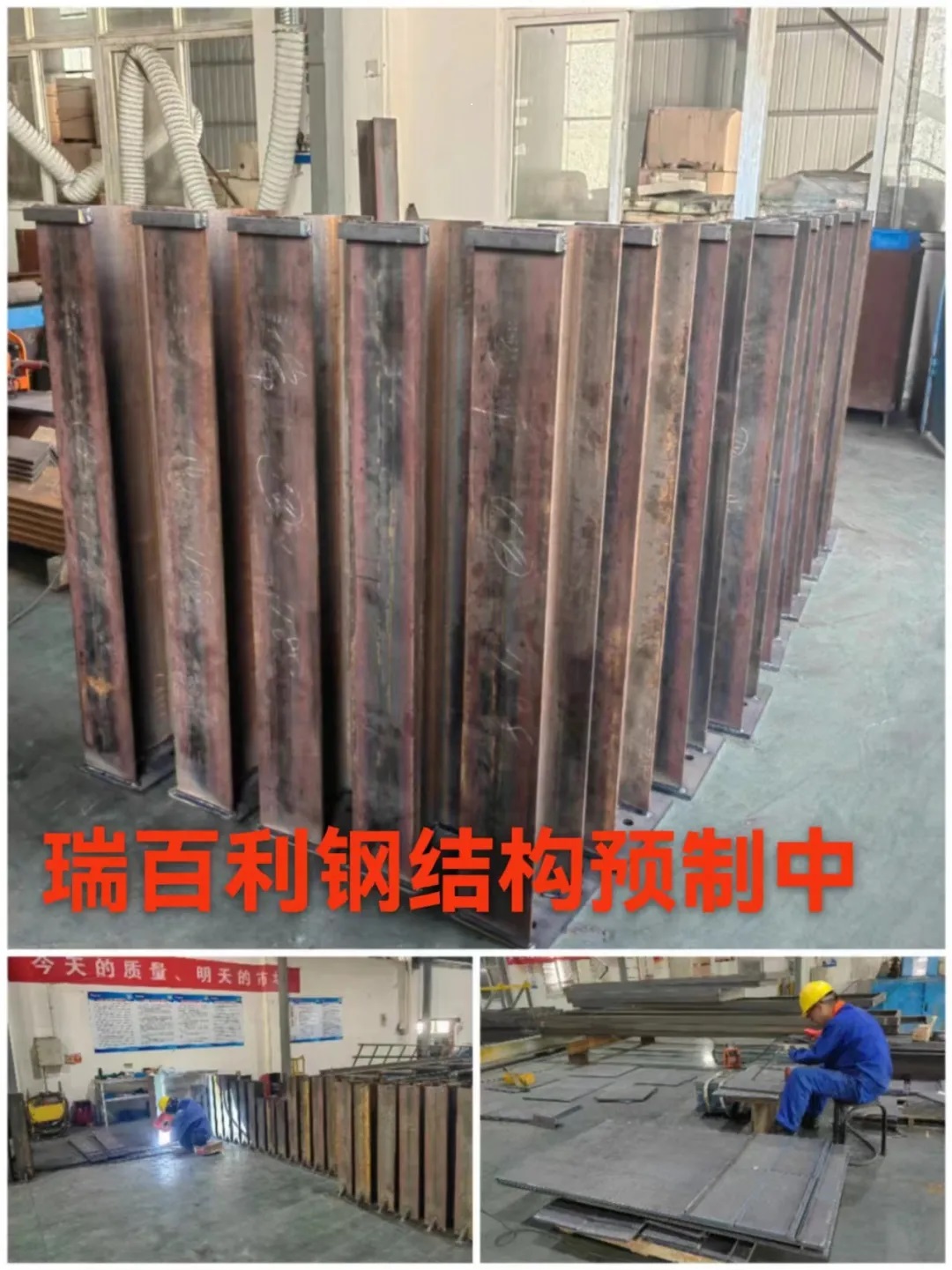 91视频在线网站