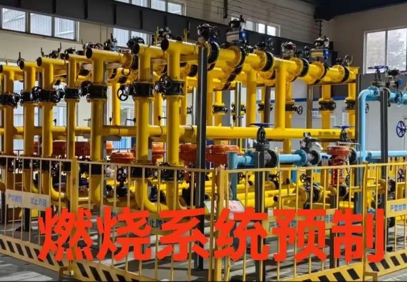 91视频在线网站